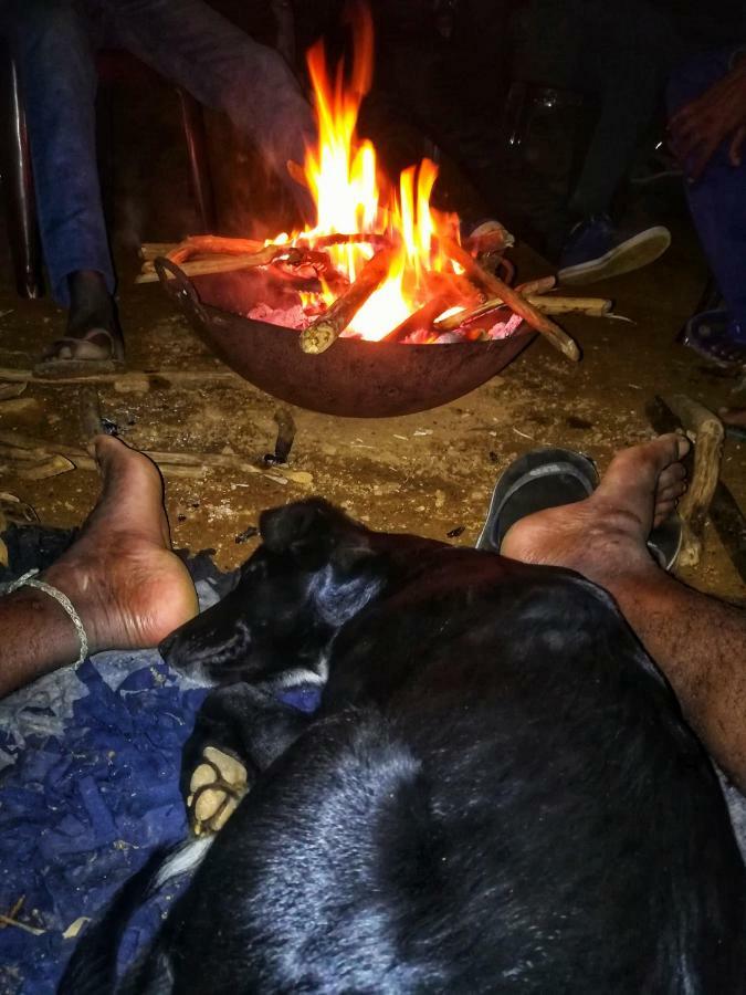 Eco Lodge Haputale-Camping Sri Lanka 外观 照片