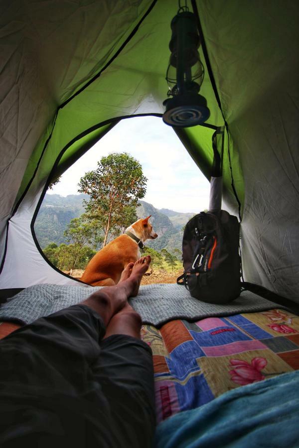 Eco Lodge Haputale-Camping Sri Lanka 外观 照片