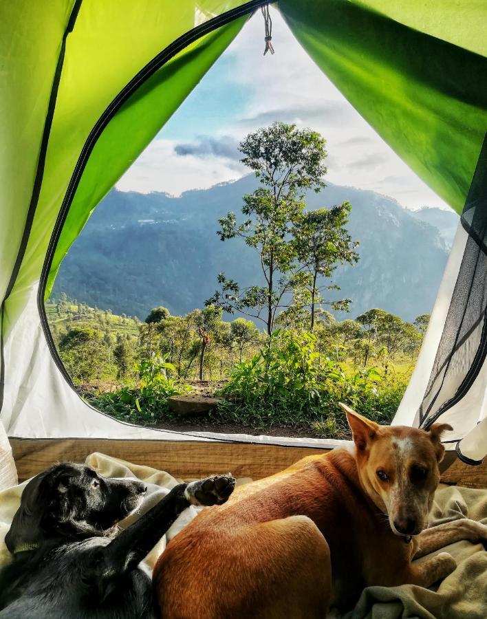 Eco Lodge Haputale-Camping Sri Lanka 外观 照片